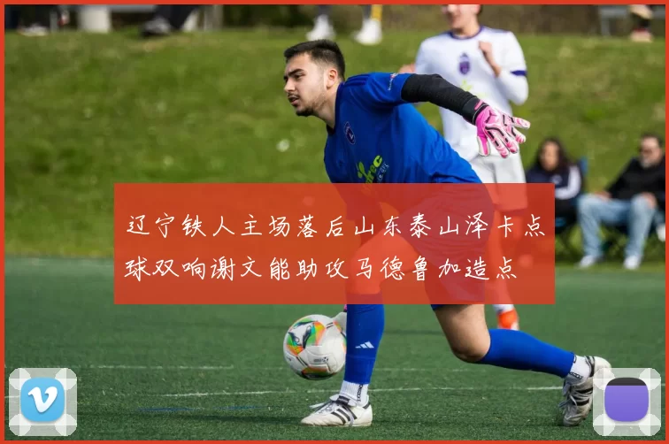 辽宁铁人主场落后山东泰山泽卡点球双响谢文能助攻马德鲁加造点