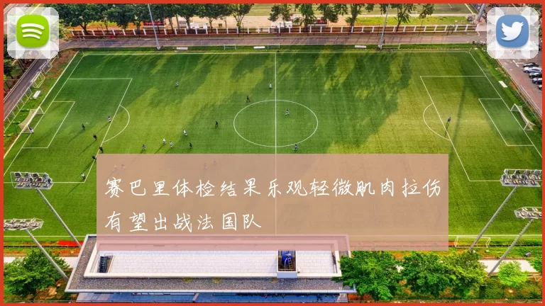 赛巴里体检结果乐观轻微肌肉拉伤有望出战法国队