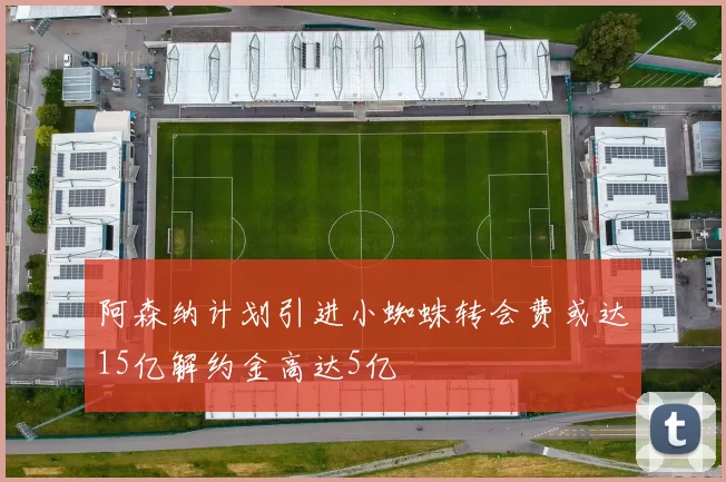 阿森纳计划引进小蜘蛛转会费或达15亿解约金高达5亿